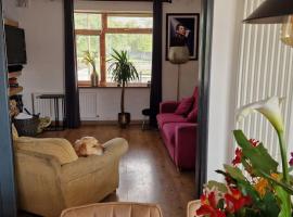 Hotel Photo: 4 Bed house in leafy suburb