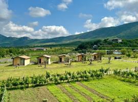 Foto di Hotel: Fishta Guesthouse - Mrizi i Zanave