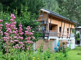 Foto do Hotel: Studio VALLORCINE dans chalet 13 kms Chamonix