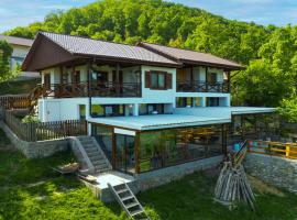 Conacul Fruntea cu ceru,位于Iloviţa的酒店