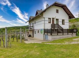 Фотография гостиницы: Vineyard Homestead Vrtin - Happy Rentals