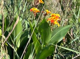 מלון צילום: Chambre meublée