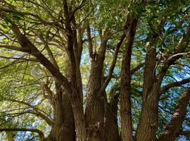 MAITEN Esquel, hotel v destinaci Esquel