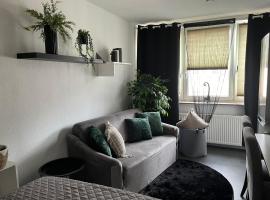 รูปภาพของโรงแรม: APARTMENT 24h CHECK IN - MODERN APARTMENT - STUDIO IN GOOD LOCATED - KLEIN aber FEIN in METROPOLE FRANKFURT