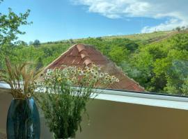 The wild boar lodge, hotel em Ghioroc