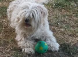 Country View Motel Ilbilbie, ξενοδοχείο σε Ilbilbie