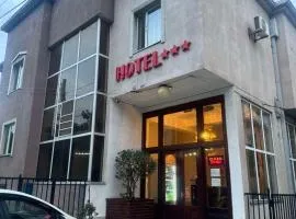 Hotel Skib