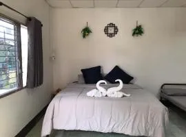 The Thana House