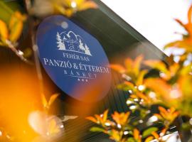 Fehér Sas Panzió、Bánkútのホテル