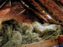 HEUHOTEL FARM Gemeinschaftsbad Own Sleeping bag Free Wifi, hotel en Hausbreitenbach