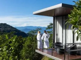 Ferndale Retreat Knuckles