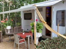 Boho Marine, hotel v destinaci Pecineaga