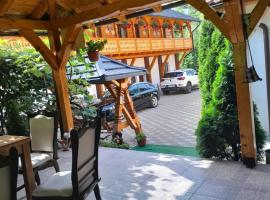 Pensiunea Malinul, hotel en Bîrsana