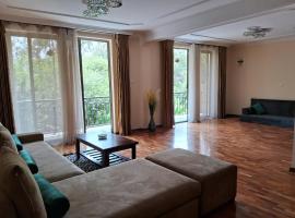 BA Viila, hotell i Addis Abeba