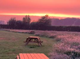 Erve Zonnehoeve Minicamping en Wijngaard、フォルデンのホテル