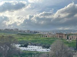 زهرة المدائن, hotel in Jerash