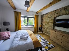 APARTMÁNY 91 Boží Dar, hotel in Boží Dar