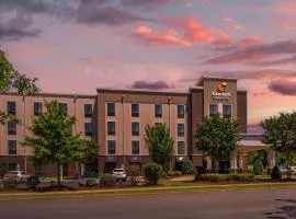 Comfort Inn & Suites At CrossPlex Village
