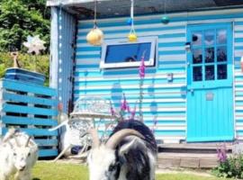 Treguth Glamping Unique Experience - Themed Huts, Hotel in Saint Day