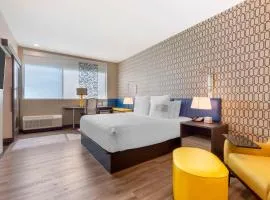 GLō Best Western Dallas South DeSoto