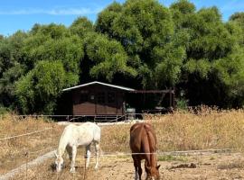 Cabaña rústica en un rancho con caballos, Prado del Rey, Andalucía, Hotel in Prado del Rey