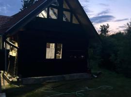 Badea Sica Deal, hotel in Rozavlea