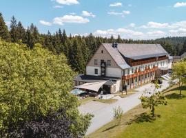 Waldhotel Vogtland, hotel in Klingenthal