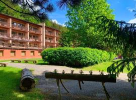 Horský Hotel Podjavorník, hotel in Papradno