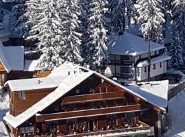 Pansion Vlašić Ski, ξενοδοχείο σε Šišava