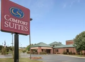 Comfort Suites Parkersburg South