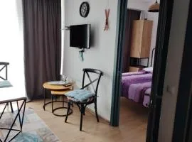 Apart Hotel ART 206