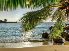 Baga Beach Palms