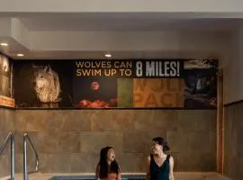 灰狼套房酒店