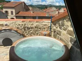 Le 19 - 38m2 Terrasse Jacuzzi - Centre Historique - Clim