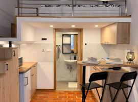 Zenroom Apartments, Hotel in Ljubljana