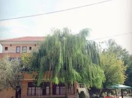 Bar Restaurant Hotel Drraska