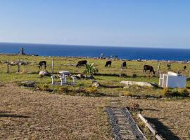 Wild Coast Grosvenor Holiday Home, hotel v destinaci Lusikisiki