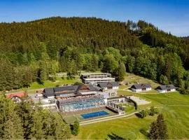 Wellness hotel Horal, Velké Karlovice