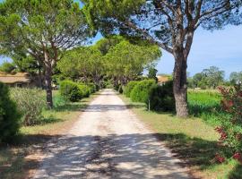 Mas du Grand Peloux, hotell sihtkohas Port-Saint-Louis-du-Rhône