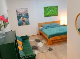 Apartments Romantic and Family Room Zemlinski