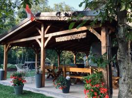 Maciejówka Gospodarstwo Agroturystyczne, hotel in Poddębice