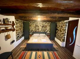 Casa de sub Salcie, hotel in Curtea de Argeş