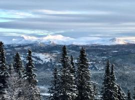Funäsdalsfjällen för skidor, cykel, vandring och fiske, hotel in Funäsdalen