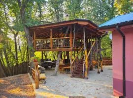 Alen Mak Forest Hotel