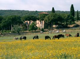 รูปภาพของโรงแรม: Bio Agriturismo Corte degli Ulivi