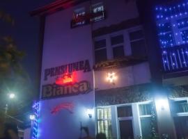 Hình ảnh khách sạn: Pensiunea Bianca