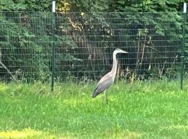 Marengo, hotel v destinaci Marengo