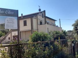 Agriturismo IL VECCHIO OLIVO, hotel in Castagneto Carducci