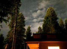 In The Forest, hotel en Mestia