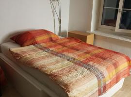 Men's Dormitory - Männerschlafsaal, hotel i Brüttisellen